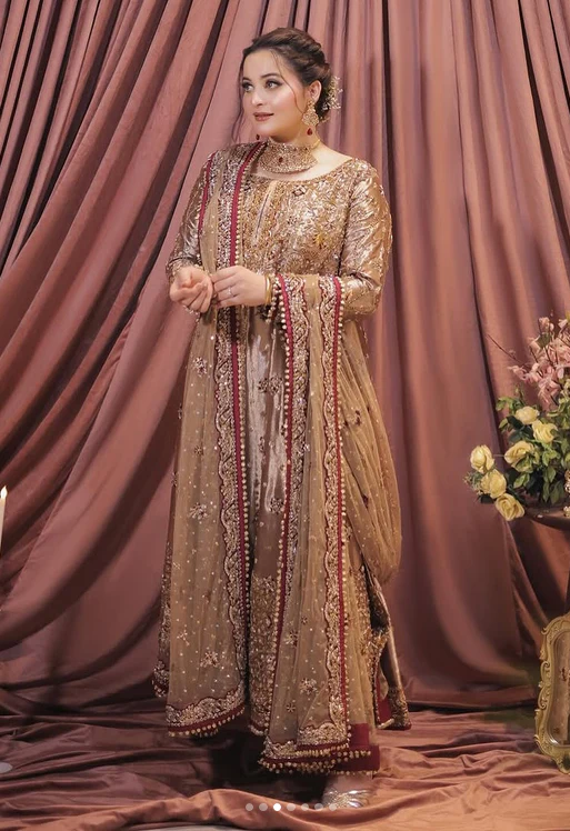 Haris Shakeel Mesuri Hand Embellished & Embroidered Maxi - J0507 - Image 5