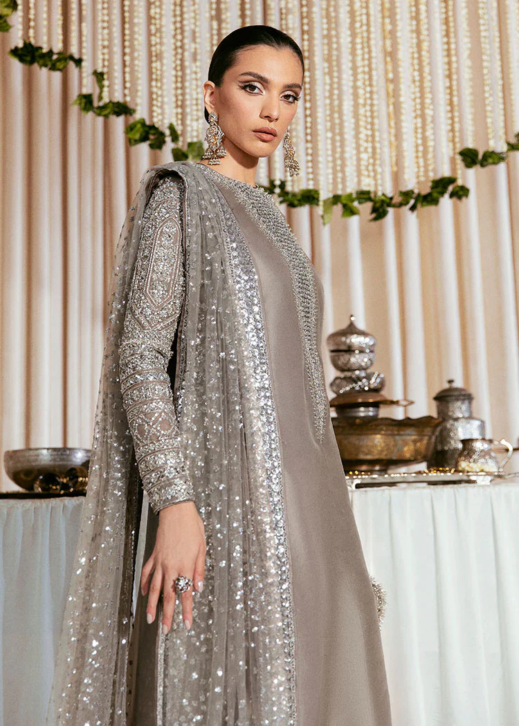 Hussain Rehar Raw Silk Unstitched Collection LUCENT EC 135 Formal Raw Silk - Image 3