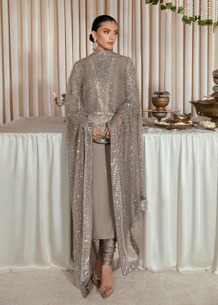 Hussain Rehar Raw Silk Unstitched Collection LUCENT EC 135 Formal Raw Silk - Image 5