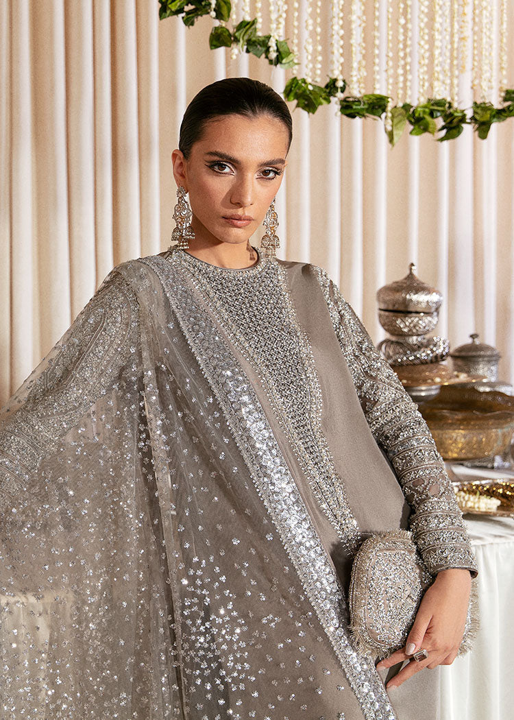 Hussain Rehar Raw Silk Unstitched Collection LUCENT EC 135 Formal Raw Silk - Image 6